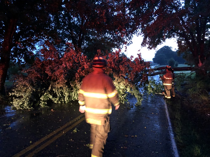 Storm causes tree damage – Maxcy Drive